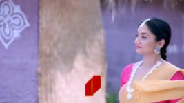 Renuka Yellamma (Star Maa) S01 E255 The Story of Rajarajeshwari Devi