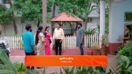 Seetha Ramam S01 E253 8th January 2024