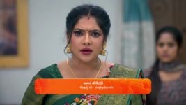Seetha Ramam S01 E256 11th January 2024