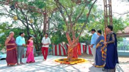 Subhasya Seeghram S01 E309 17th January 2024