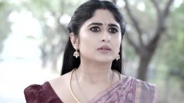 Subhasya Seeghram S01 E313 22nd January 2024