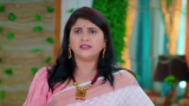 Trinayani (Kannada) S01 E931 30th January 2024