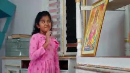 Vantalakka S01 E490 A Concern for Vishnu