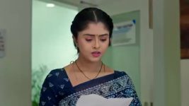 Vantalakka S01 E492 Gajapathi Cautions Chaaya
