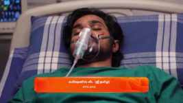 Vidhya No 1 S01 E612 17th January 2024