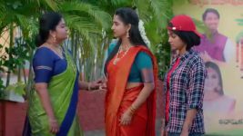 Brahma Mudi S01 E294 Subramanyam, Sailaja's Evil Plan