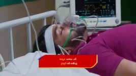 Malli Nindu Jabili S01 E541 Malli's Firm Decision