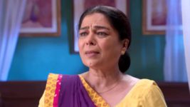 Naamkaran S04E19 Dayawanti Provokes Neela Full Episode