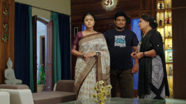 Vantalakka S01 E489 Will Varalakshmi Help Chaaya?