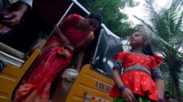 Annapoorna S01 E442 14th February 2024