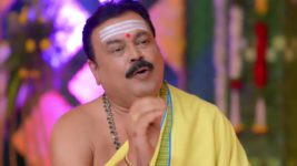 Annapoorna S01 E448 20th February 2024
