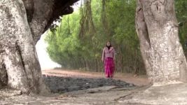 Ghore Ghore S01 E347 9th February 2024