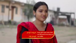 Gunde Ninda Gudi Gantalu S01 E95 Meena Feels Pleased