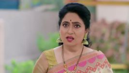 Guppedantha Manasu S01 E991 Vasudhara Grows Anxious