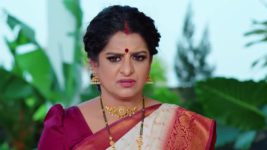 Jagadhatri (zee telugu) S01 E158 20th February 2024