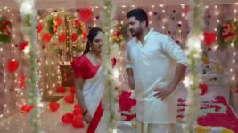 Madhuranagarilo (Star Maa) S01 E298 Shyam in Distress