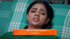 Sandhya Raagam (Tamil) S01 E108 24th February 2024