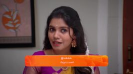 Sandhya Raagam (Tamil) S01 E113 29th February 2024