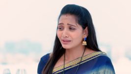 Subhasya Seeghram S01 E325 5th February 2024