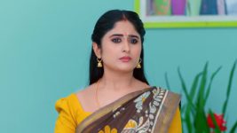 Subhasya Seeghram S01 E336 17th February 2024