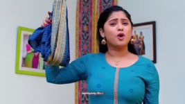 Subhasya Seeghram S01 E342 24th February 2024