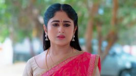 Subhasya Seeghram S01 E345 28th February 2024