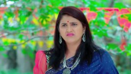 Trinayani (Kannada) S01 E934 2nd February 2024