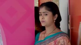 Vantalakka S01 E533 Sudha Assits Varalakshmi