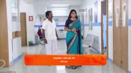 Vidhya No 1 S01 E646 25th February 2024