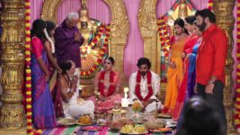 Vidhya No 1 S01 E647 25th February 2024