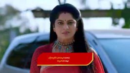 Yeda Loyallo Indradhanasu S01 E252 Amulya Learns a Shocking Truth