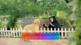 Ek Thi Rani Ek Tha Ravan S01E189 Ram, Mayura to Tie the Knot? Full Episode