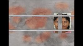 Radha Madhu S01E42 A Proposal for Madhulika Full Episode
