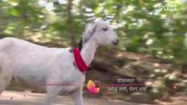 Thapki Pyar Ki S01E514 4th December 2016 Full Episode