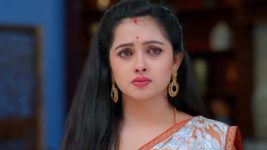 Annapoorna S01 E467 8th March 2024