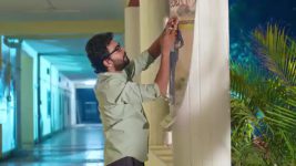 Guppedantha Manasu S01 E1021 Dharani Commends Shailendra