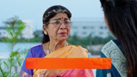 Jagadhatri (zee telugu) S01 E176 12th March 2024