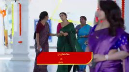 Malli Nindu Jabili S01 E607 Bunny in a Tight Spot