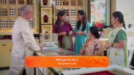 Meenakshi Ponnunga S01 E519 14th March 2024