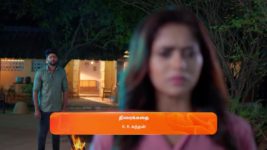 Sandhya Raagam (Tamil) S01 E115 2nd March 2024