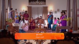Sandhya Raagam (Tamil) S01 E117 4th March 2024