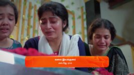 Veera (Zee Tamil) S01 E09 7th March 2024