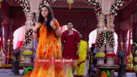 Agni Sakshi S01E05 Shanker Won't Treat Gowri Full Episode