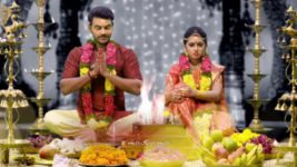 Agni Sakshi S01E12 Gowri's Sweet Gesture Full Episode