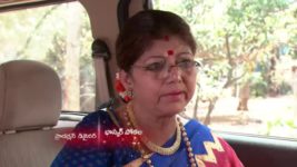 Agni Sakshi S01E135 Gowri Impresses Shanker Full Episode