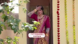 Agni Sakshi S01E390 Pratap, Gowri's Smart Move Full Episode