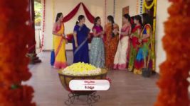 Agni Sakshi S01E411 Shanker Takes a Step Full Episode