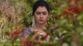 Agni Sakshi S01E50 Gowri, Shanker Come Closer Full Episode