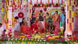 Agni Sakshi S01E604 Shanker, Gowri Get Married Full Episode