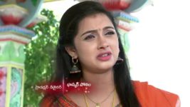 Agni Sakshi S01E69 Gowri Takes a Stand Full Episode